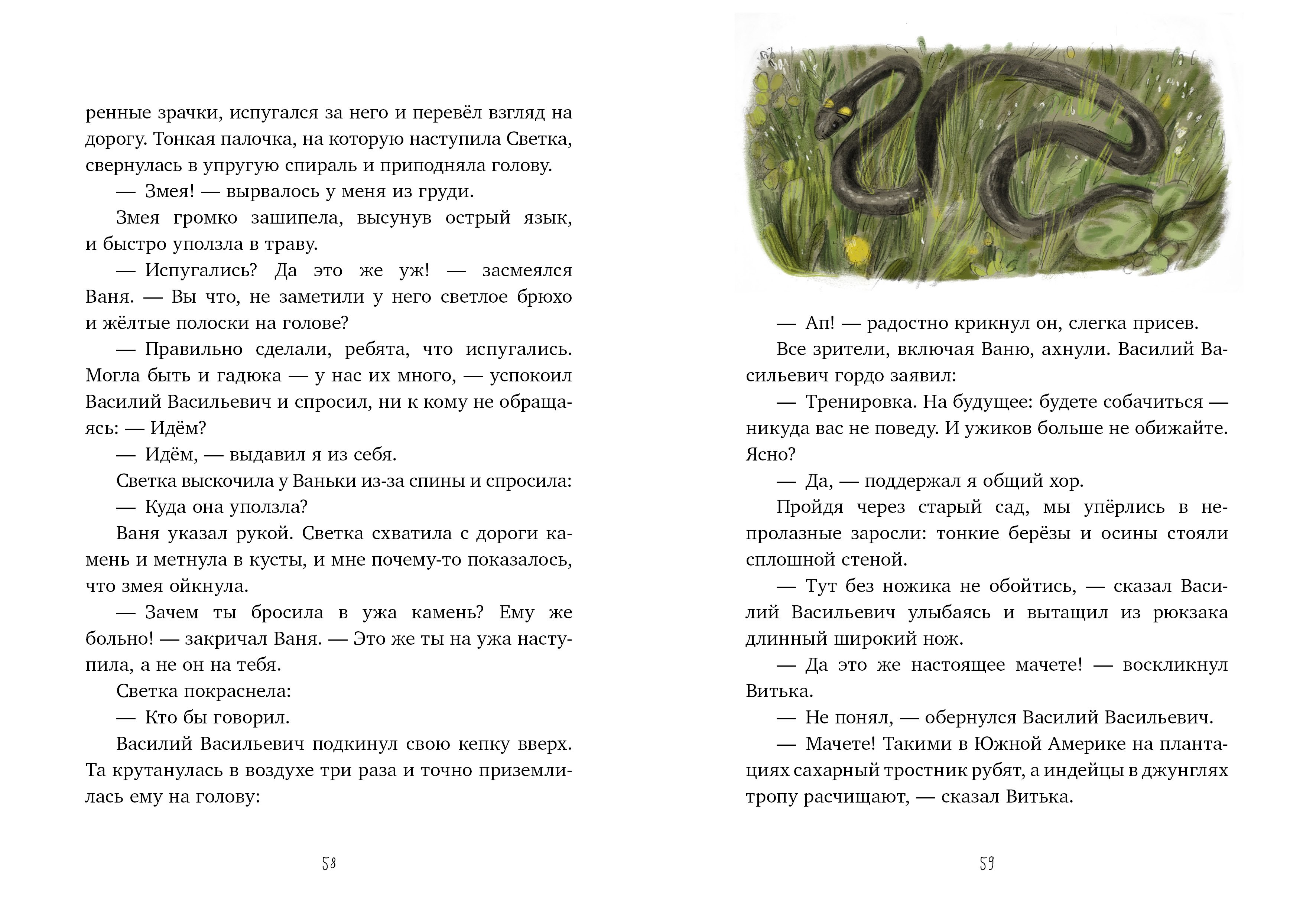 Изображение бумажной книги