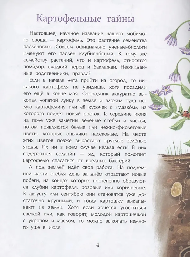 Книга Картошка. Машина времени на грядке (Елена Литвяк) — 3