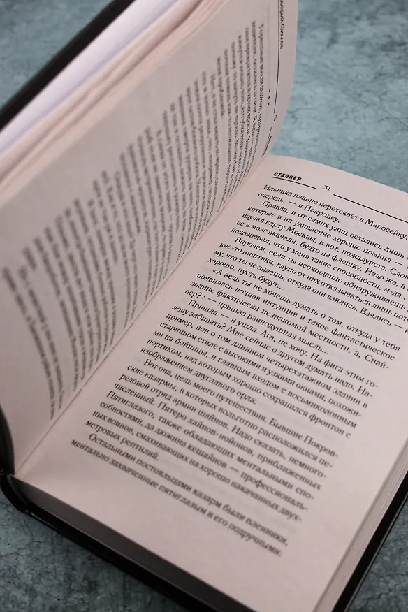 Книга Закон долга (Дмитрий Силлов) — 10
