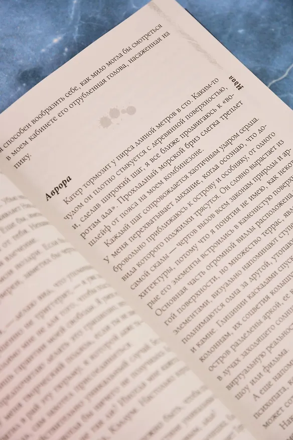 Книга Идол (Лана Мейер) — 13