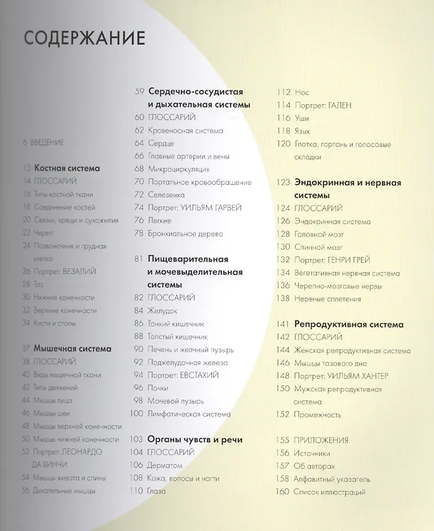 Книга Анатомия за 30 секунд. Пер. с англ. (Д. Барбаро-Браун) — 2