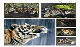 Пленка (338/00000008036) Freedecor с изображен. для светлых поверхностей 2300576