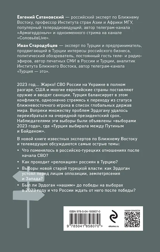 Книга Турция между Россией и Западом. Мировая политика как она есть — без толерантности и цензуры (Иван Стародубцев, Евгений Сатановский) — 2