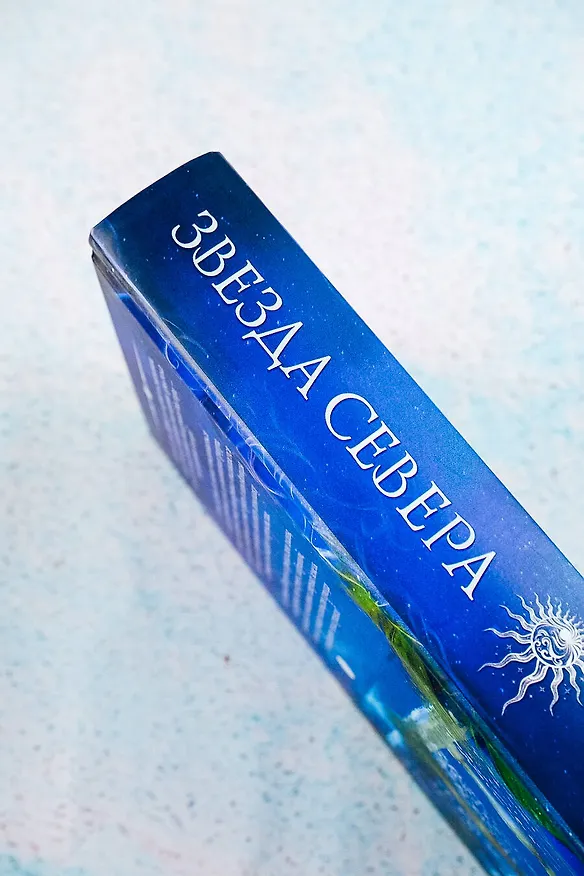 Книга Звезда Севера (Вероника Норт) — 12