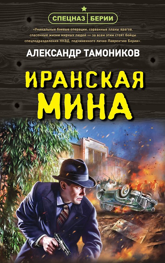 Книга Иранская мина (Александр Тамоников) — 1
