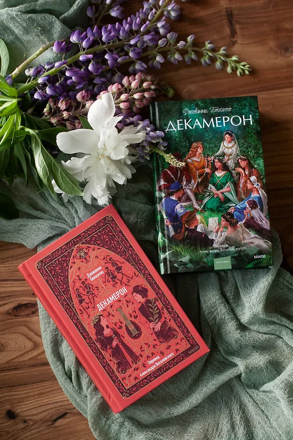 Книга Декамерон. Вечные истории (Джованни Боккаччо) — 14