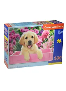 Пазл Castorland Щенок в ящике 300эл. В-030071