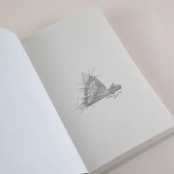 Книга А я тебя нет (Хельга Петерсон) — 9