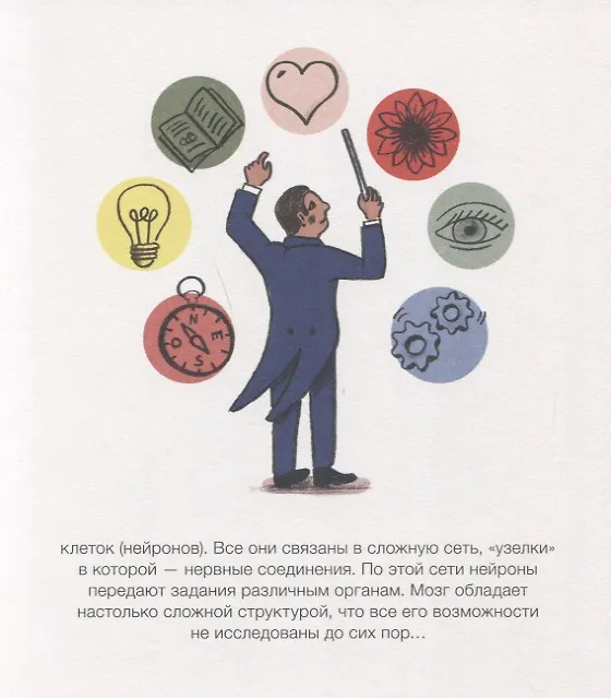 Книга Как живёт тело? (Софи Дюшарм) — 7