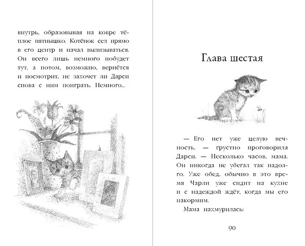 Книга Котёнок Чарли, или Хвостатый бродяга (выпуск 43) (Холли Вебб) — 9