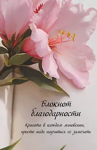 Книга для записей А5 64л "Блокнот благодарности. Красота в каждом мгновении, просто надо научиться ее замечать"