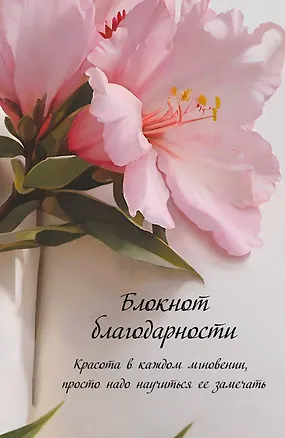 Ежедневник недатированный «Блокнот благодарности» А5, 64 листа, Эксмо 3077036