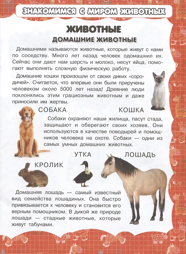 Книга Животные (Игорь Резько) — 2