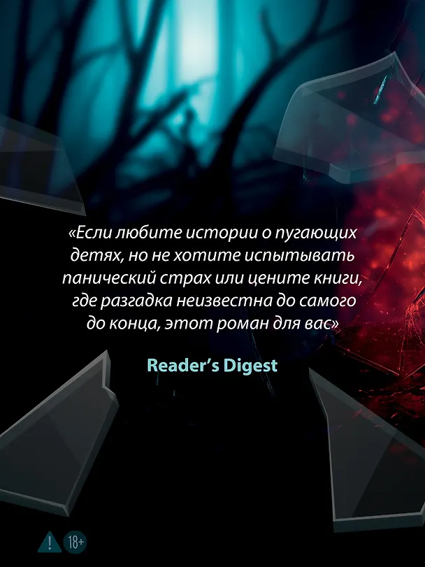 Книга Стеклянный дом (Сара Пекканен) — 9