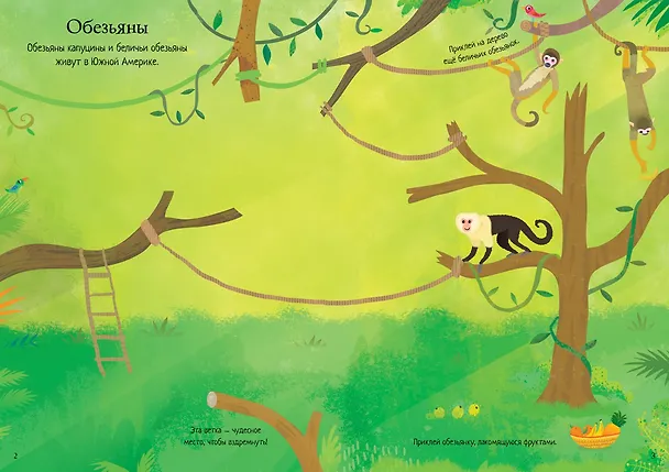 Книга Зоопарк (Холли Бэти) — 7