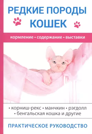 Редкие породы кошек — 2625863 — 1