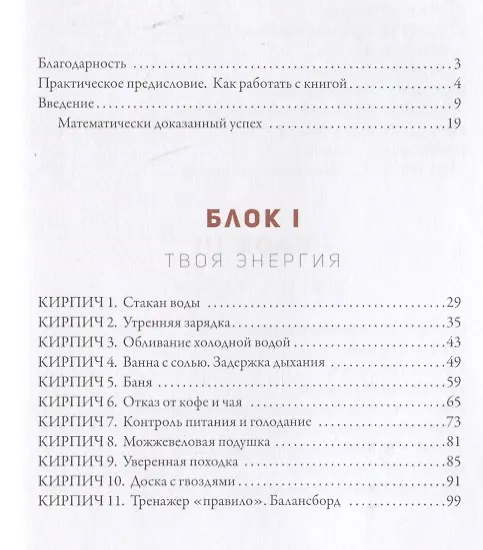 Книга 50 кирпичей успеха (Александр Синеркин) — 2
