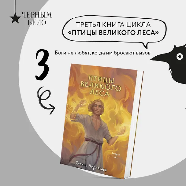 Книга Трилогия Золотые земли (Золотые земли. Сокол и Ворон+Золотые земли. Совиная башня+Золотые земли. Птицы Великого леса) (Ульяна Черкасова) — 5