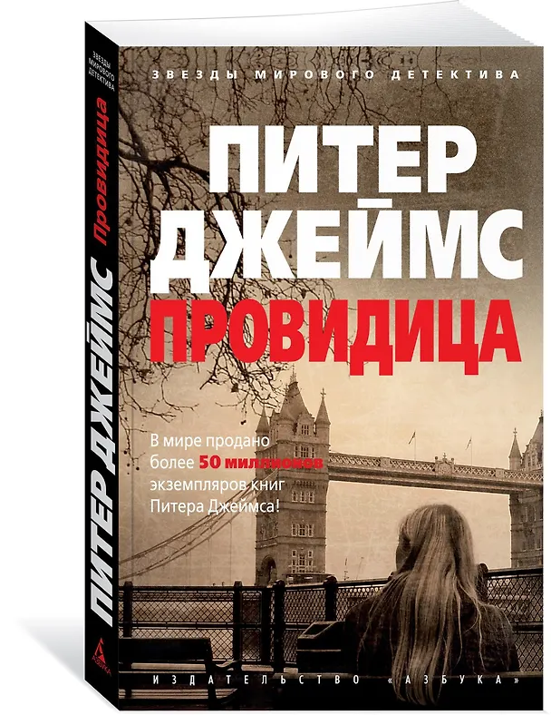 Книга Провидица (Питер Джеймс) — 2
