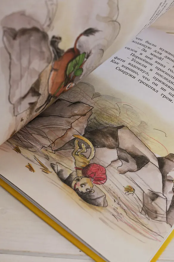 Книга Тафити и путешествие на край света (Юлия Бёме) — 14