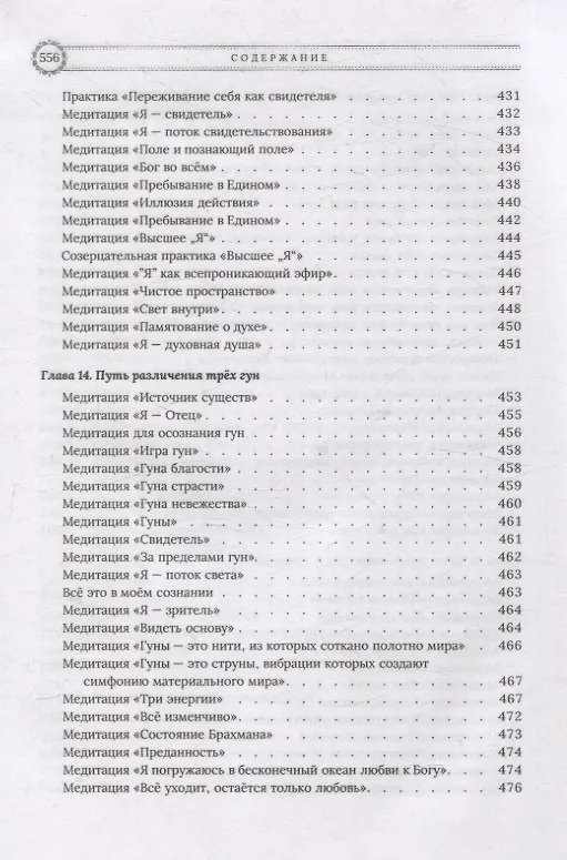Книга Медитации Бхагавад-гиты (Сергей Неаполитанский) — 11