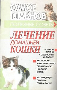 Лечение домашней кошки: полезные советы