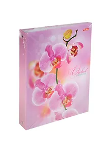 Тетрадь 120л кл. "Розовая орхидея" на кольцах, глянц.ламинация, инд.уп., Hatber