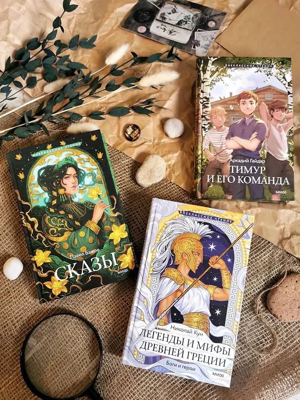 Книга Тимур и его команда (Аркадий Гайдар) — 13