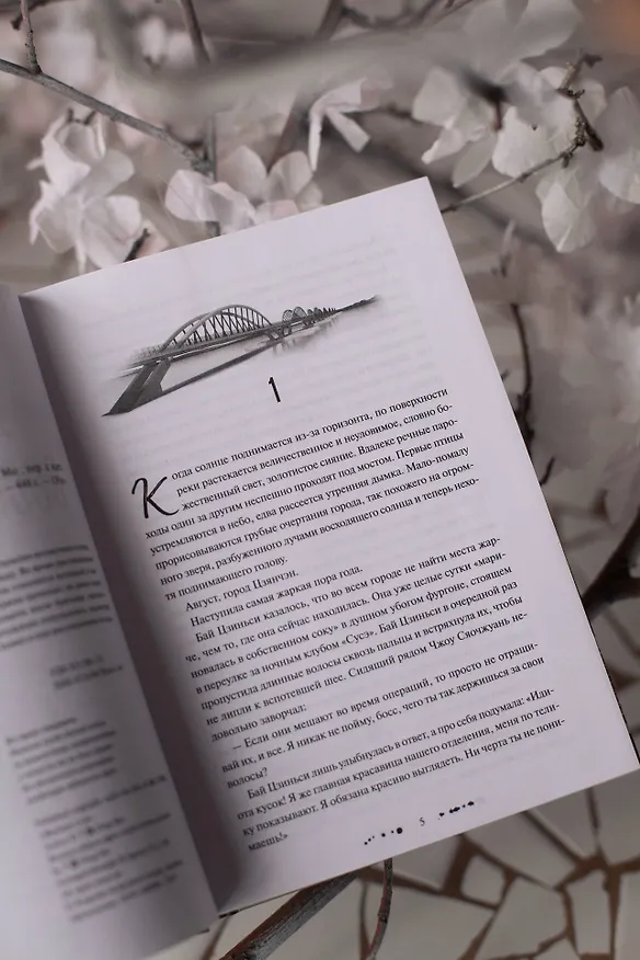 Книга Утерянные воспоминания. Том 1. Новелла (Мо Дин) — 10