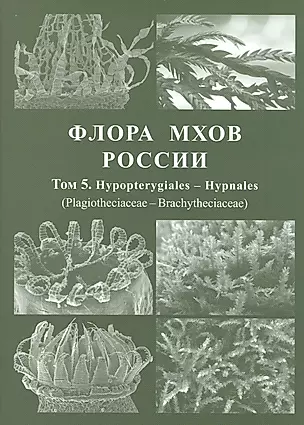 Флора мхов России. Том 5. Hypopterygiales - Hypnales (Plagiotheciaceae - Brachytheciaceae) — 2826918 — 1
