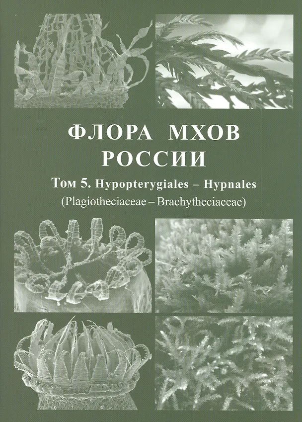 Книга Флора мхов России. Том 5. Hypopterygiales - Hypnales (Plagiotheciaceae - Brachytheciaceae) (М. Игнатов) — 1