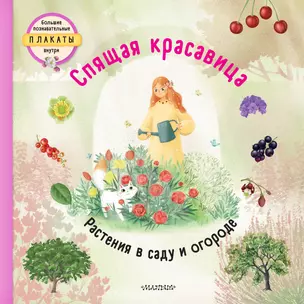 Спящая красавица — 2897183 — 1