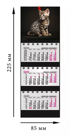 Календарь квартальный 2025г 82*230 "Котенок на черном" на магните — 3059177 — 1