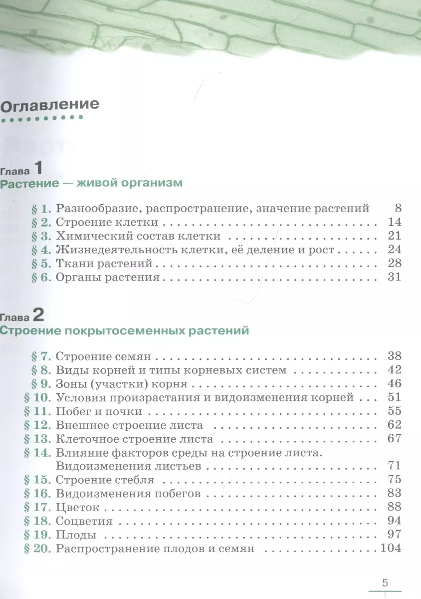 Биология 6 класс. Покрытосеменные растения: строение и жизнедеятельность.  Линейный курс. Учебник (Владимир Пасечник) - купить книгу с доставкой в  интернет-магазине «Читай-город». ISBN: 978-5-358-21897-0