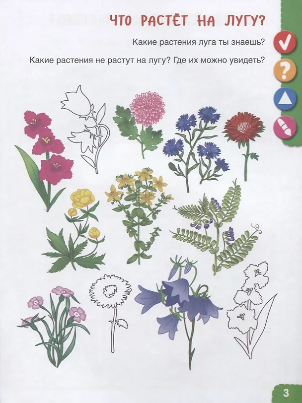 Книга Удивительное рядом. Ребенок и окружающий мир. Альбом наблюдений. 5-6 лет (Лилия Тимофеева) — 2