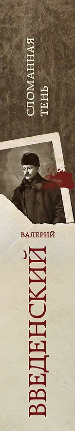 Книга Сломанная тень (Валерий Введенский) — 3