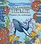 Загадочный океан. Рисунки для медитаций — 2939099 — 1
