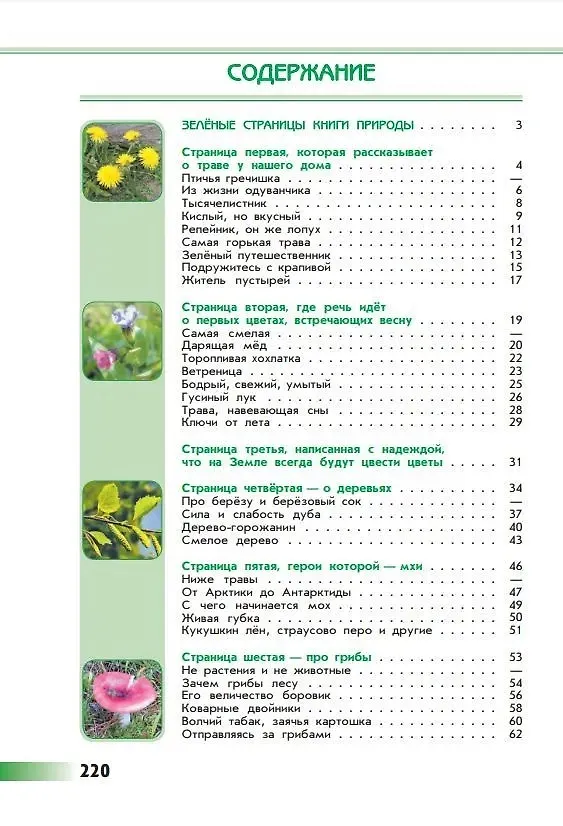Книга Зеленые страницы (Андрей Плешаков) — 2