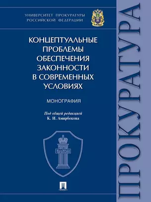 Концептуальные проблемы обеспечения законности в современных условиях. Монография — 3033303 — 1