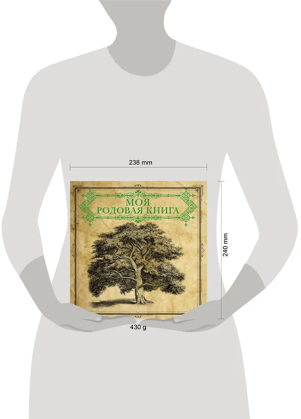 Книга Моя родовая книга = История нашего рода () — 4