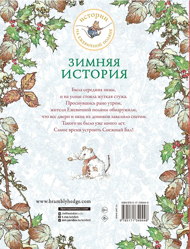 Книга Зимняя история (Джилл Барклем) — 2