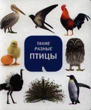 Такие разные птицы — 2326027 — 1