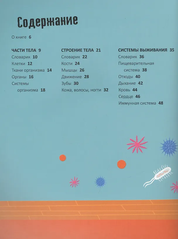 Книга 30 секунд. Человеческое тело за 30 секунд (Анна Клейборн) — 2