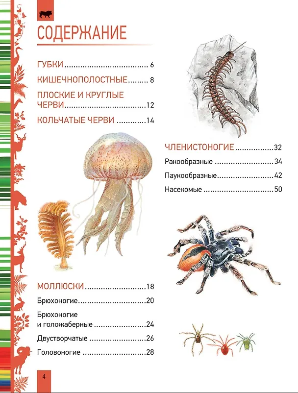 Книга Животные. Большая энциклопедия () — 2