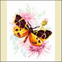 42-08 Легкость и изящество (набор д/вышивания) (19х19)