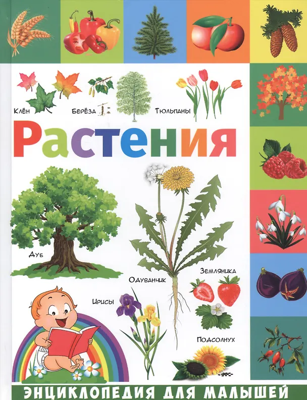 Книга Растения (Елена Гриценко) — 1