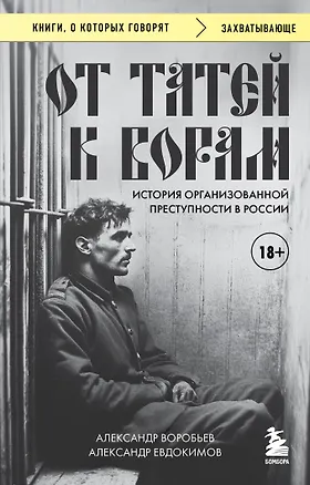 Книга От татей к ворам: история организованной преступности в России. (Александр Евдокимов, Александр Воробьев)