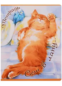 Тетрадь в клетку ПЗБМ, "Что я, рыжий, что ли!", 48 листов, в ассортименте