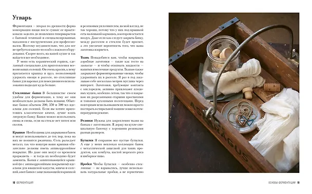 Книга Ферментация. Вкусные и полезные рецепты на каждый день (Рейчел Тампл де) — 3