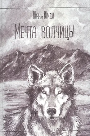 Книга Библия в двух книгах. Ветхий и Новый Заветы в синодальном переводе ()